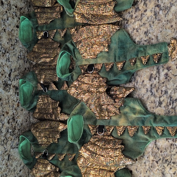 Small Pet Dragon outfit - Picture 5 of 9